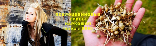 Альфа ПВП Пересвет