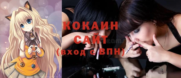 Альфа ПВП Пересвет